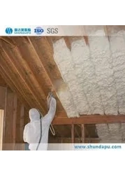 Polyurethane Spray Foam, 750ml