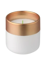 دبليو دبليو سيترونيلا شمعة معطرة بسطح نحاسي 10 سم