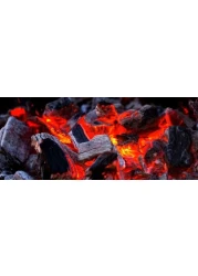 GO2CAMPS Hardwood charcoal-BBQ Natural Charcoal -10 KG