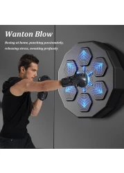 Max Strength Wall Mounted Boxing Training Machine Smart Music Boxing Pads