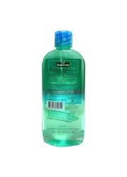 Green Cross 70% Ethyl Alcohol Antiseptic Disinfectant Green 250ml