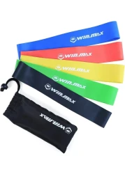 Winmax Fitness Band Set &ndash; Premium Resistance Bands with Handles, Door Anchor, and Carry Bag, 5 Adjustable Tension Levels for Home Gym, Full-Body Workouts