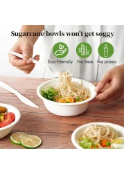 LAVISH Heavy-Duty Bagasse Biodegradable Paper Bowls, [ 10-Pack 16Oz/475ml ] Compostable Bowls for Hot &amp; Cold Foods, Ideal for Soup, Ice Cream, Salad, Snacks, and Desserts (White)