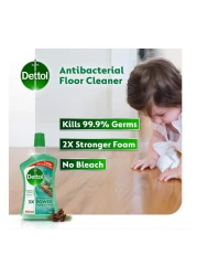 ديتول باور ×3 منظف أرضيات و مضاد للبكتيريا برائحة الصنوبر 900 ملل حزمة من 2