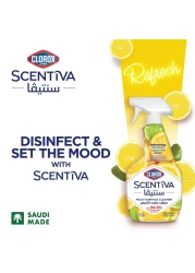 Clorox Scentiva Multi Surface Spray Cleaner Madagascar Citrus Grove 500ml