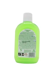 Dettol Anti-Bacterial Personal Care Antiseptic 250ml