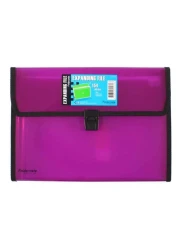 فولدرميت موسع ملف A4 مع مقبض 13 جيب