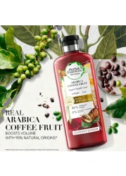 Herbal Essences Bio Renew Volume Arabica Coffee Fruit Conditioner 400ml