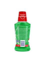 كولغيت بلاكس غسول الفم بنكهة الشاي المنعش 250 ملل ، حزمة من 2 - أخضر