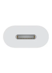 Apple USB-C To Lightning Adapter White