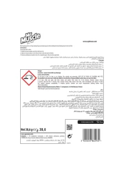 Mr Muscle Active Clean Toilet Block Citrus 38.6g