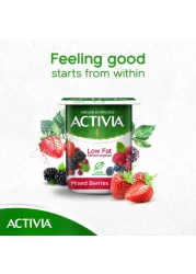 Activia Low Fat Mixed Berries Stirred Yoghurt 120g Pack of 8