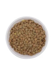 لوس بينوس العدس الأخضر