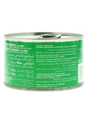 ديل مونتي شرائح الأناناس في الشراب 234 غرام حزمة من 3