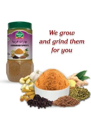 Mehran Arabian Spices 250g