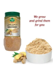 Mehran Ginger Powder 250g