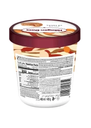 Haagen-Dazs Dairy Ice Cream with Caramel Swirl 460ml