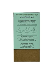 فاميلي هارفست شاي نعناع عضوي أكياس شاي، 20 كيس شاي