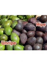 Ripe Organic Avocados 550g