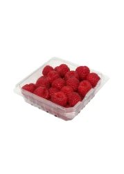 Driscoll's Organic Raspberries 170g