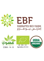 طماطم روما عضوية مغلفة