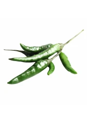 Organic Green Hot Chilli