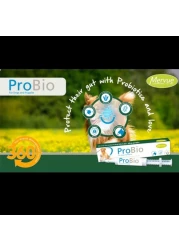 معجون ميرفو بروبيو للكلاب والجراء دعم متقدم لصحة الأمعاء والمناعة مكمل البروبيوتيك والبريبايوتيك وفيتامينات ب ومضادات الأكسدة لصحة الجهاز الهضمي وتعافي الجهاز الهضمي 30 مل