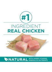 بورينا وان بلس تركيبة صحية للجهاز الهضمي، طعام للكلاب، 3.63 كغ