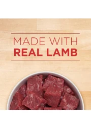 بورينا وان بلس كلاسيك، طعام كلاب صحي مفروم، لحم ضأن وأرز طويل الحبة، 368 غرام