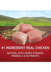 Purina ONE Chicken &amp; Rice Formula, Dog Food, 3.63kg