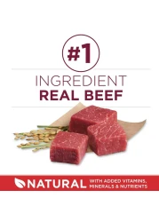 Purina ONE Small Bites Beef &amp; Rice Formula, Dog Food 3.63kg