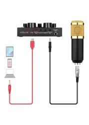 Generic-Professional Broadcasting Studio Recording Condenser Microphone Kit with External Sound Card + Mic Windscreen + Shock Mount + Adjustable Suspension Scissor Arm Stand + Mounting Clamp + Pop Fil