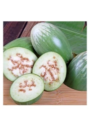 باذنجان أخضر دائري