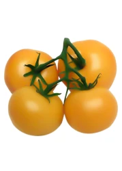 مجموعة الطماطم البرتقالية