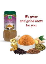 Mehran Arabic Spices 250g