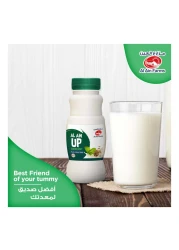 Al Ain Up Cumin Mint Fresh Laban Drink 200ml
