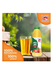 العين عصير تفاح 500 ملل