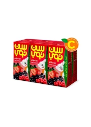 Suntop Berry Mix Juice 125ml Pack of 6