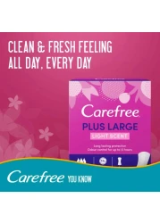 Carefree Plus Large Light Scent Pantyliners 48 Liners
