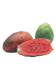 Prickly Pear