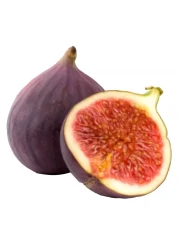 Fresh Figs