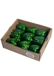 Capsicum Family Pack 1.5kg