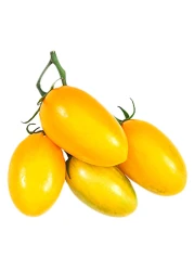 Yellow Tomato Bunch