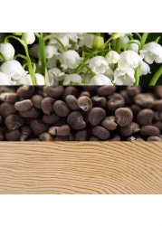 كالفن كلاين عطر بيوتي للنساء - او دو بارفيوم - 100مل