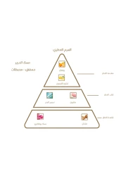 Albdah Oud Misk Silk Hair Mist - Parfum - 20ml