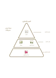 Albdah Oud Misk Powder Hair Mist - Parfum - 20ml