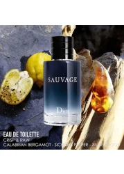 عطر سوفاج من ديور للرجال - او دو تواليت