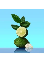 Calvin Klein CK One For Men - Eau de Toilette