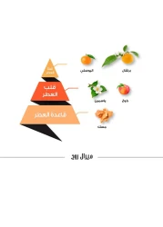عطر ميرال روج من الماجد للعود للنساء - او دو برفيوم