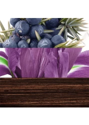 Davidoff The Game For Men - Eau de Toilette